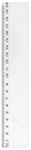 TRACAGE PLASTIQUE REGLE PLATE 20 cm