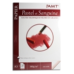 BLOC PAPIER PASTEL SANGUINE A3 180G 20F