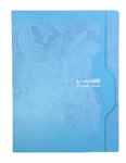 CAHIER 24X32 SEYES 96P