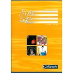 CAHIER 21X29,7 144 PAGES SEYES TP