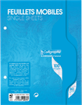 FEUILLE MOBILE 17X22 100 PAGES SEYES BLANC