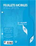 FEUILLE MOBILE 17X22 100P SEYES