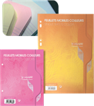 FEUILLE MOBILE 17X22 100 PAGES SEYES ROSE