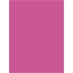 PAPIER AFFICHE PEINTE 60X80 PQT25 FUSHIA