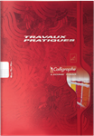 CAHIER 21X29,7 96 PAGES SEYES TP