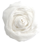 PAPIER CREPON 40% 2X0,5M  BLANC X10