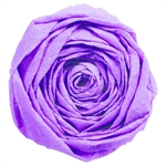 PAPIER CREPON 40% 2X0,5M MAUVE X10