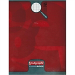 CAHIER 17X22 96P 5X5 90G