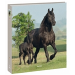CLASSEUR A5 DOS 4CM CHEVAL BLACK OBE