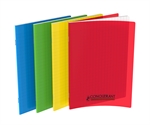 CAHIER 17X22 96P SEYES 90G PPL ASS