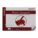 BLOC PAPIER PASTEL SANGUINE A6 180G 20F