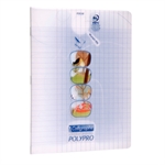CAHIER POESI 17X22 SEYES 48P 90G PPL INC
