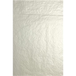 PAPIER DE SOIE 50X75CM PQT 8F ARGENT