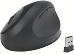 SOURIS SANS FIL ERGONOMIQ PROFIT