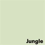 PAPIER RAME 45X64 500F 80G JUNGLE VERT C
