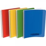 CAHIER 17X22 100P 5X5 PPL ASS SPIRALE