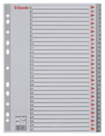 INTERCALAIRE A4 NUMERIQ 31ONGLET PP GRIS