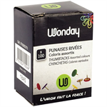 PUNAISE TETE PLATE COULEUR BTE100