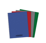 CAHIER 21X29,7 180P 5X5 PPL ASS SPIRAL