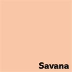 PAPIER RAME 45X64 500F 80G SAVAN/SAUMON