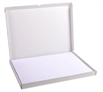 FICHE BRISTOL A3 UNI BLANC 100F
