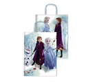SAC CADEAU 26X12X34 FROZEN